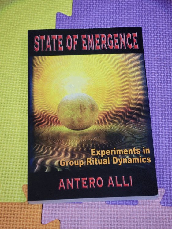 Image for State of Emergence: Experiments in Group Ritual Dynamics State of Emergence: Experiments in Group Ritual Dynamics