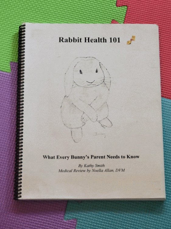 Image for Rabbit Health 101: What Every Bunny's Parent Needs To Know Rabbit Health 101: What Every Bunny's Parent Needs To Know