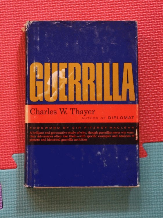 Image for Guerrilla Guerrilla
