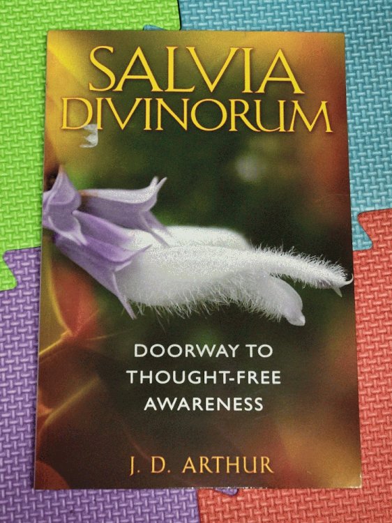 Image for Salvia Divinorum: Doorway to Thought-Free Awareness Salvia Divinorum: Doorway to Thought-Free Awareness