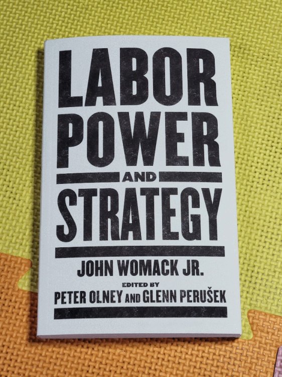 Image for Labor Power and Strategy Labor Power and Strategy