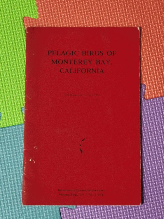 Pelagic Birds of Monterey Bay, California