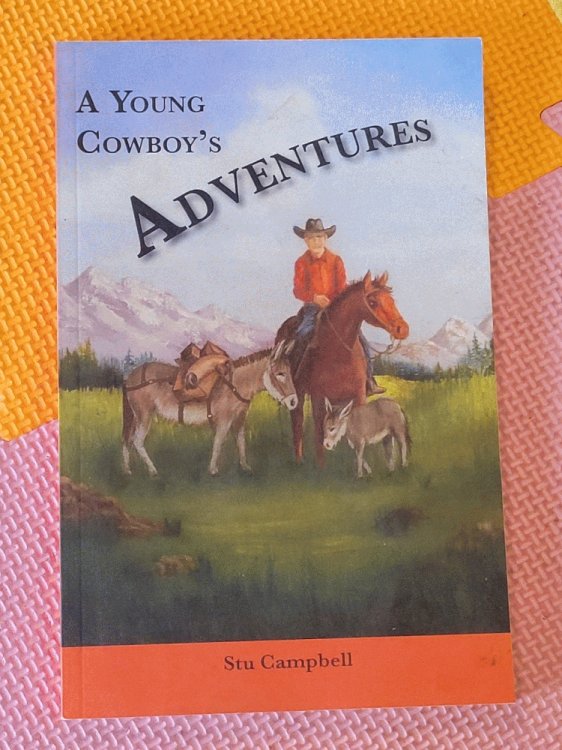 Image for A Young Cowboy's Adventures A Young Cowboy's Adventures