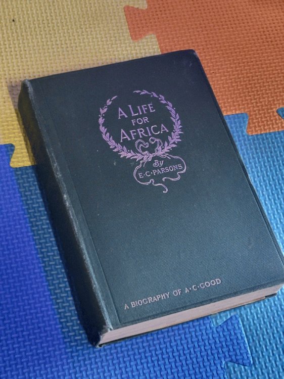 A Life For Africa