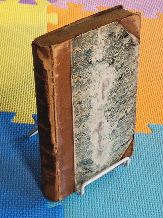 The History of England Volume VII