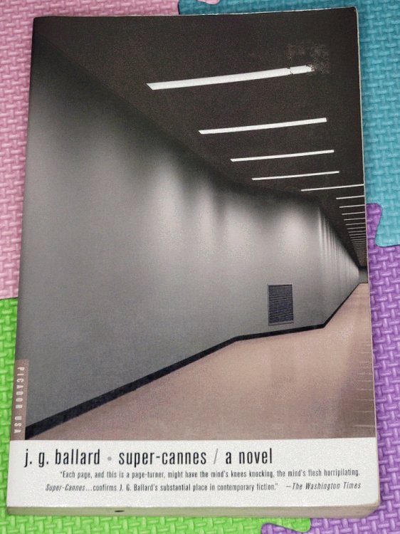 Super-Cannes: A Novel