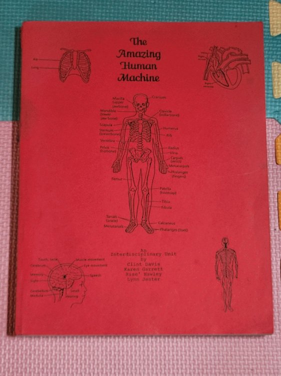 Image for The Amazing Human Machine The Amazing Human Machine