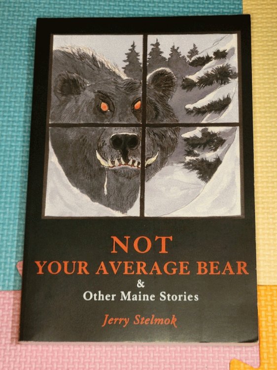 Image for Not Your Average Bear: And Other Maine Stories Not Your Average Bear: And Other Maine Stories