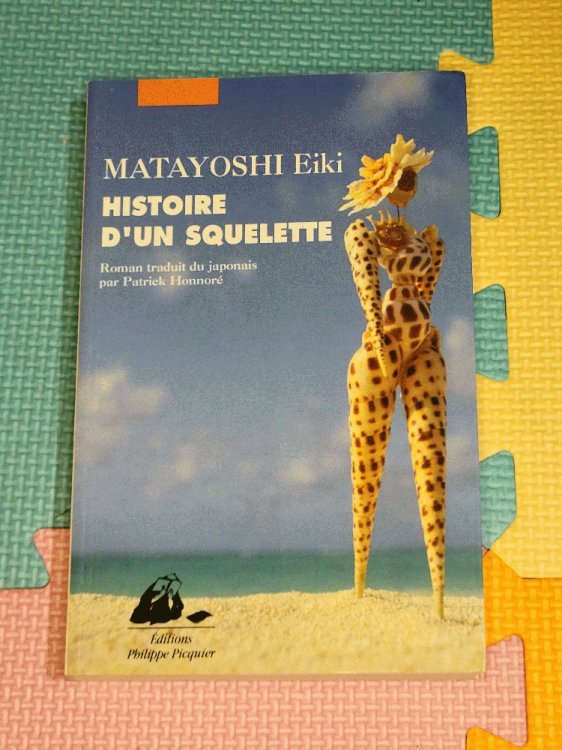 Image for HISTOIRE D'UN SQUELETTE (LITTERATURE GRAND FORMAT) HISTOIRE D'UN SQUELETTE (LITTERATURE GRAND FORMAT)