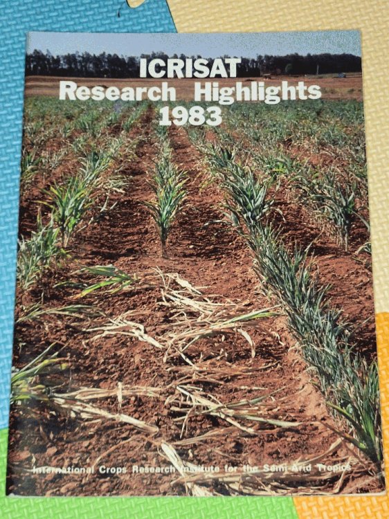 Image for ICRISAT Research Highlights 1983 ICRISAT Research Highlights 1983