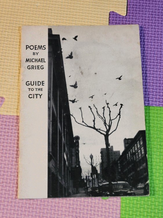 Poems: Guide To The City