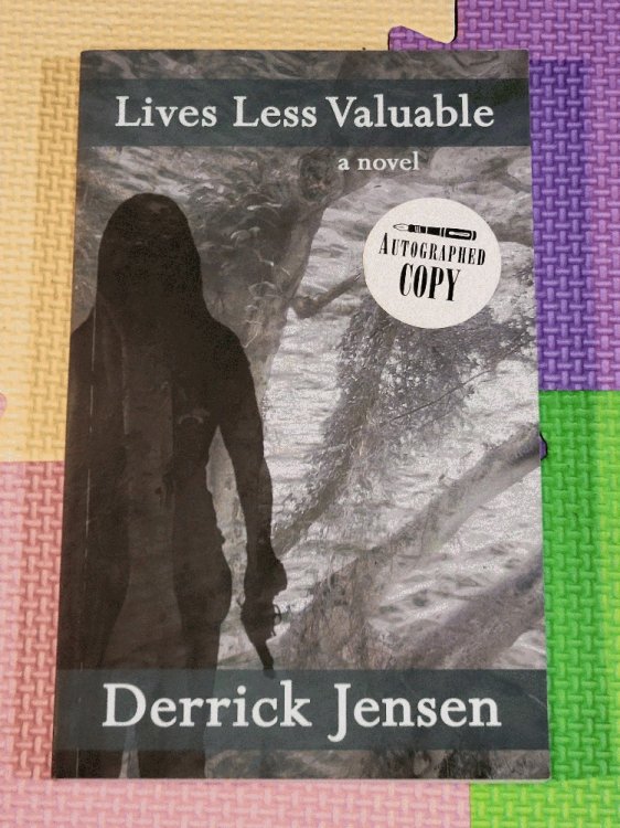 Image for Lives Less Valuable: A Novel (Flashpoint Press) Lives Less Valuable: A Novel (Flashpoint Press)