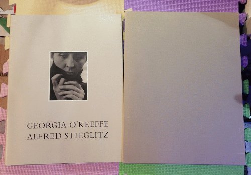 Image for Georgia O'Keeffe: A Portrait Georgia O'Keeffe: A Portrait