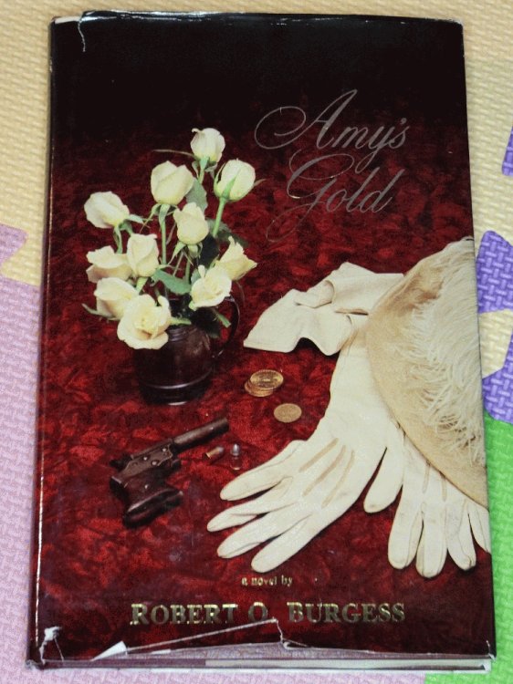 Image for Amy's gold: A novel Amy's gold: A novel