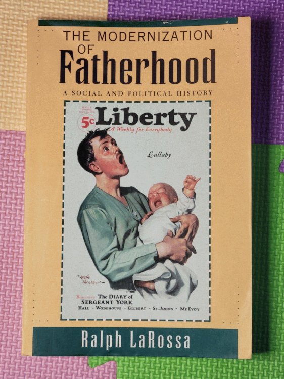 Image for The Modernization of Fatherhood: A Social and Political History The Modernization of Fatherhood: A Social and Political History