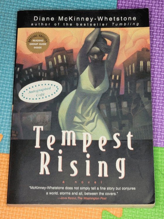 Image for Tempest Rising: A Novel Tempest Rising: A Novel