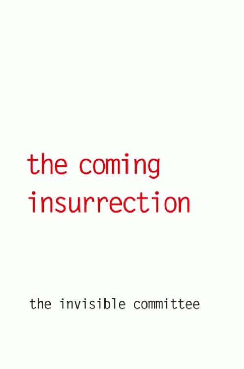 The Coming Insurrection by Anonymous