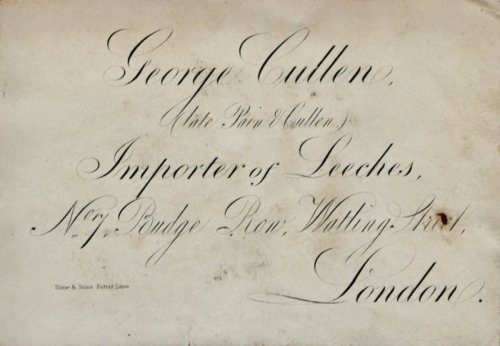 Image for (Late Pain & Cullen) Importer of Leeches. No. 7, Budge Row, Watling Street, London. (Late Pain & Cullen) Importer of Leeches. No. 7, Budge Row, Watling Street, London.