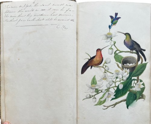 Album Amicorum presented to Britannia Beddome by John Charlesworth.