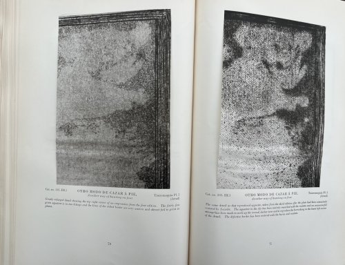Goya; Engravings and Lithographs. Volume I. Text and Illustrations. Volume II. Catalogue Raisonn&eacute;.