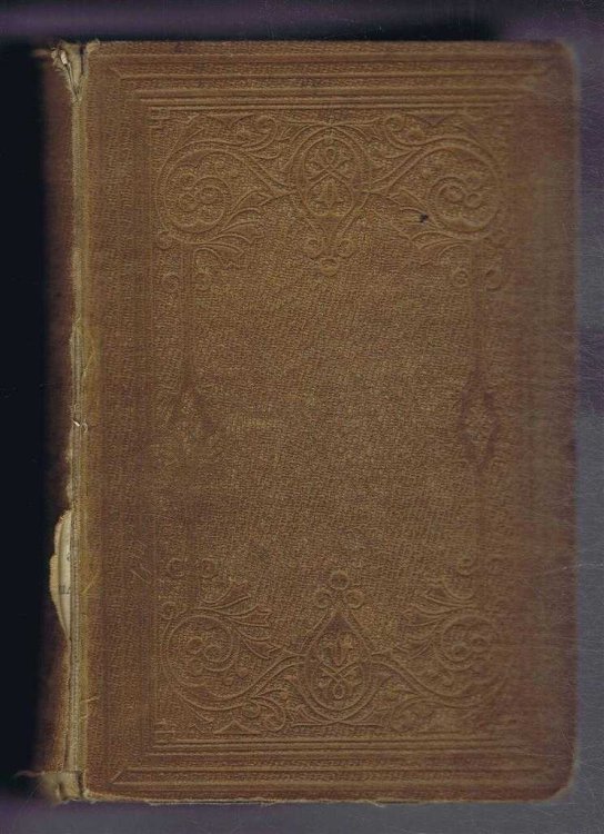 Image for The Daisy Chain: or, Aspirations. A Family Chronicle The Daisy Chain: or, Aspirations. A Family Chronicle