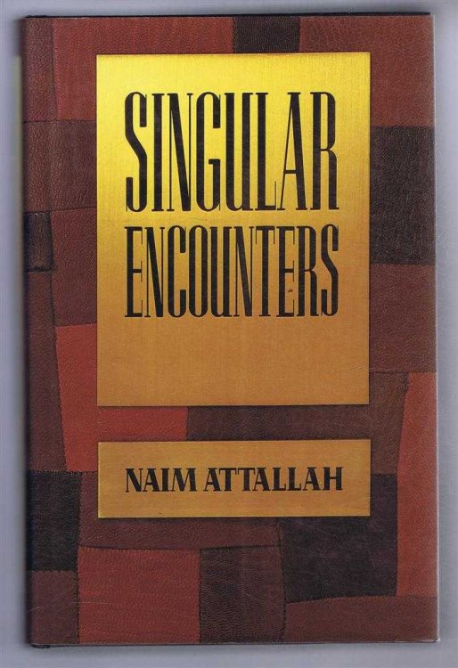Image for Singular Encounters Singular Encounters