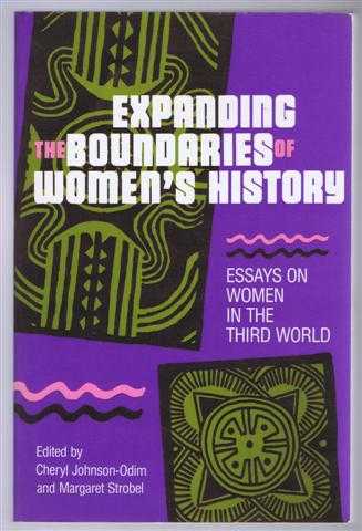 Image for Expanding the Boundaries of Women's History, Essays on Women in the Third World Expanding the Boundaries of Women's History, Essays on Women in the Third World