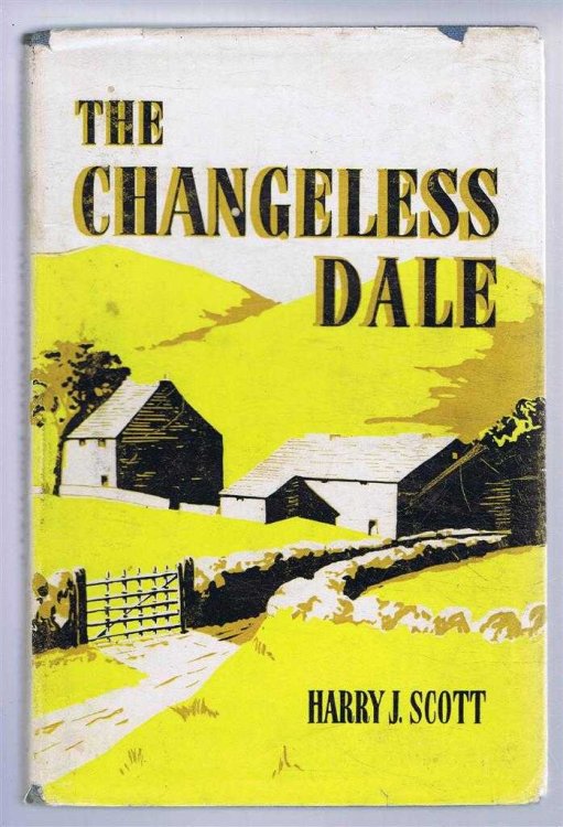 Image for The Changeless Dale The Changeless Dale