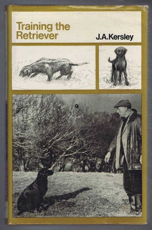 Image for Training the Retriever Training the Retriever