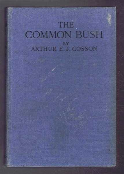 Image for The Common Bush The Common Bush