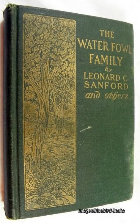 The Water-Fowl Family