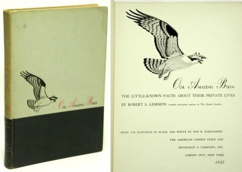 Our Amazing Birds: The little-known facts about their private lives