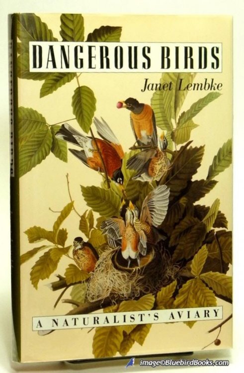 Image for Dangerous Birds: A Naturalist's Aviary Dangerous Birds: A Naturalist's Aviary