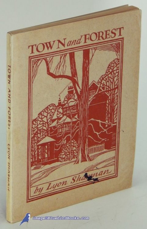Image for Town and Forest Town and Forest
