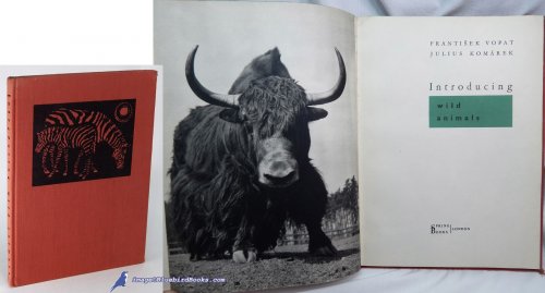 Image for Introducing Wild Animals Introducing Wild Animals