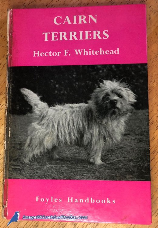 Image for Cairn Terriers Cairn Terriers