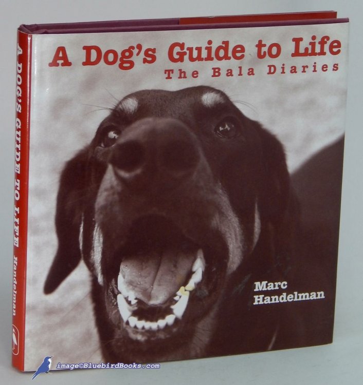Image for A Dog's Guide to Life: The Bala Diaries A Dog's Guide to Life: The Bala Diaries