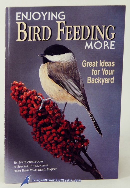 Enjoying Bird Feeding More