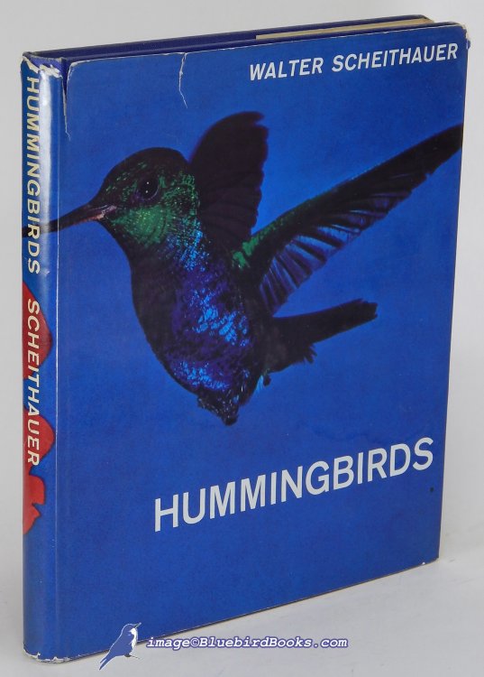 Image for Hummingbirds Hummingbirds