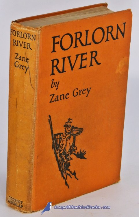 Image for Forlorn River, A Romance Forlorn River, A Romance
