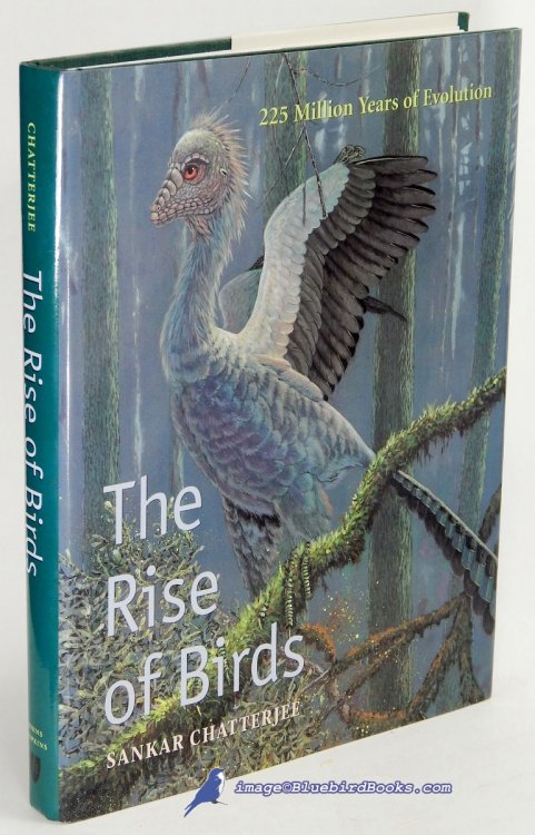 Image for The Rise of Birds: 225 Million Years of Evolution The Rise of Birds: 225 Million Years of Evolution