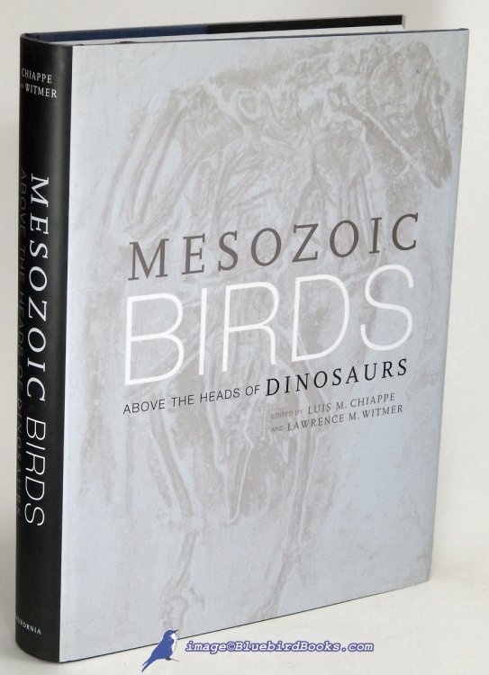Image for Mesozoic Birds: Above the Heads of Dinosaurs Mesozoic Birds: Above the Heads of Dinosaurs