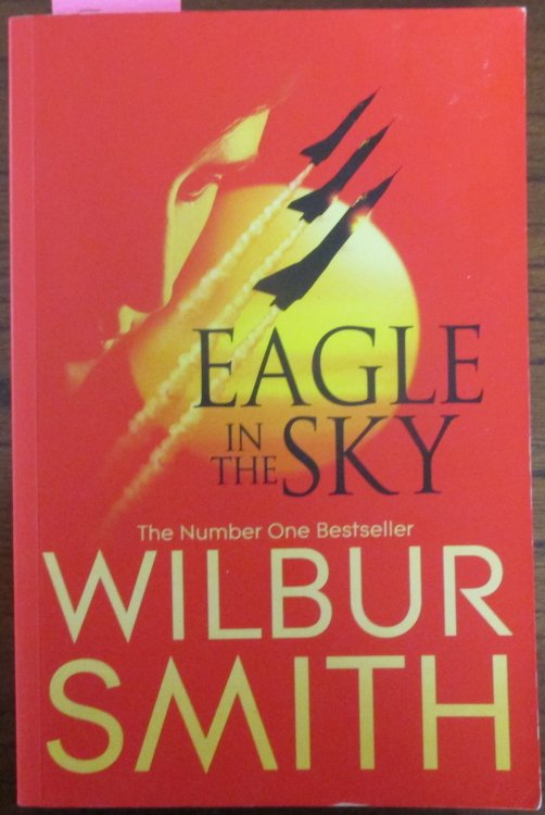 Eagle in the Sky