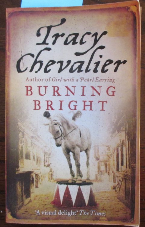 Burning Bright