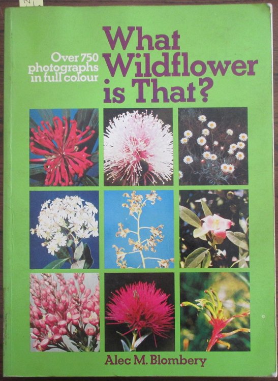 What Wildflower Is That