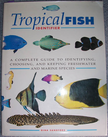 Tropical Fish Identifier: A Complete Guide to Identifying, Choosing, and Keeping Freshwater and Marine Species