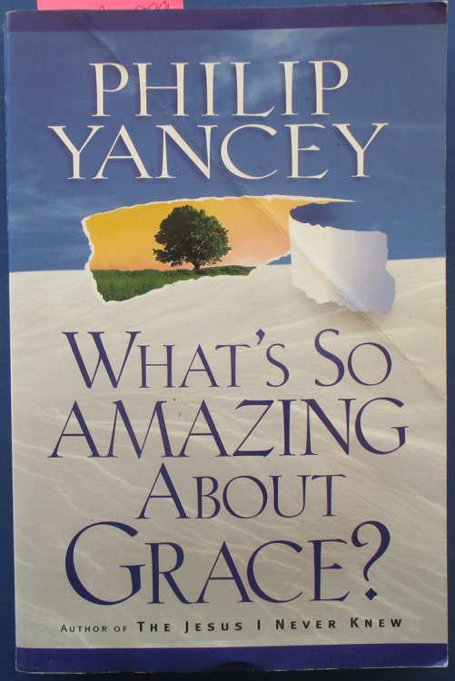 What's So Amazing About Grace