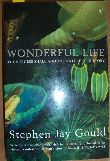 Wonderful Life