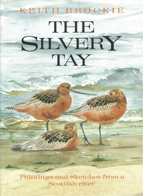 The Silvery Tay