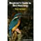 Beginner's Guide to Bird Watching